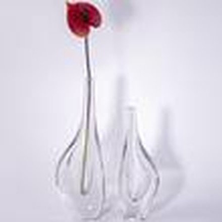 Clear Vase (Large)