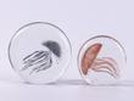 Clear & Red Ornament