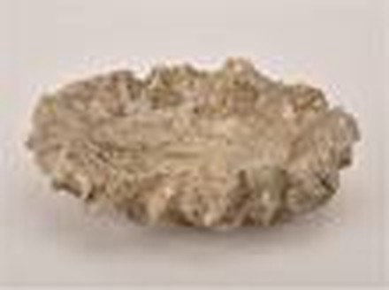 Sandy Tray (Small)