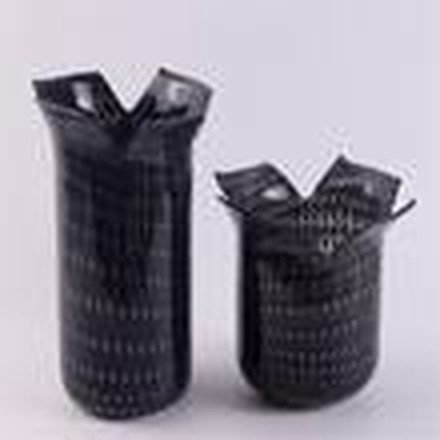 Black Vase