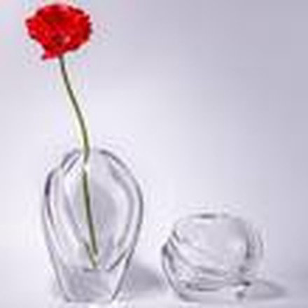 Clear Vase (Small)