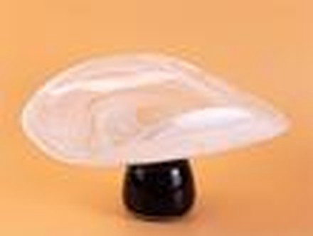 White & Black Tray